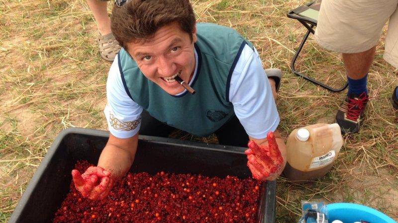 CM Portugalia -2013 - image.jpg